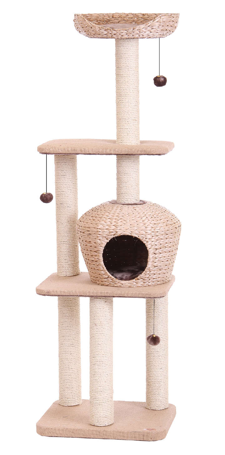 Nobby Kratzbaum Nanuk